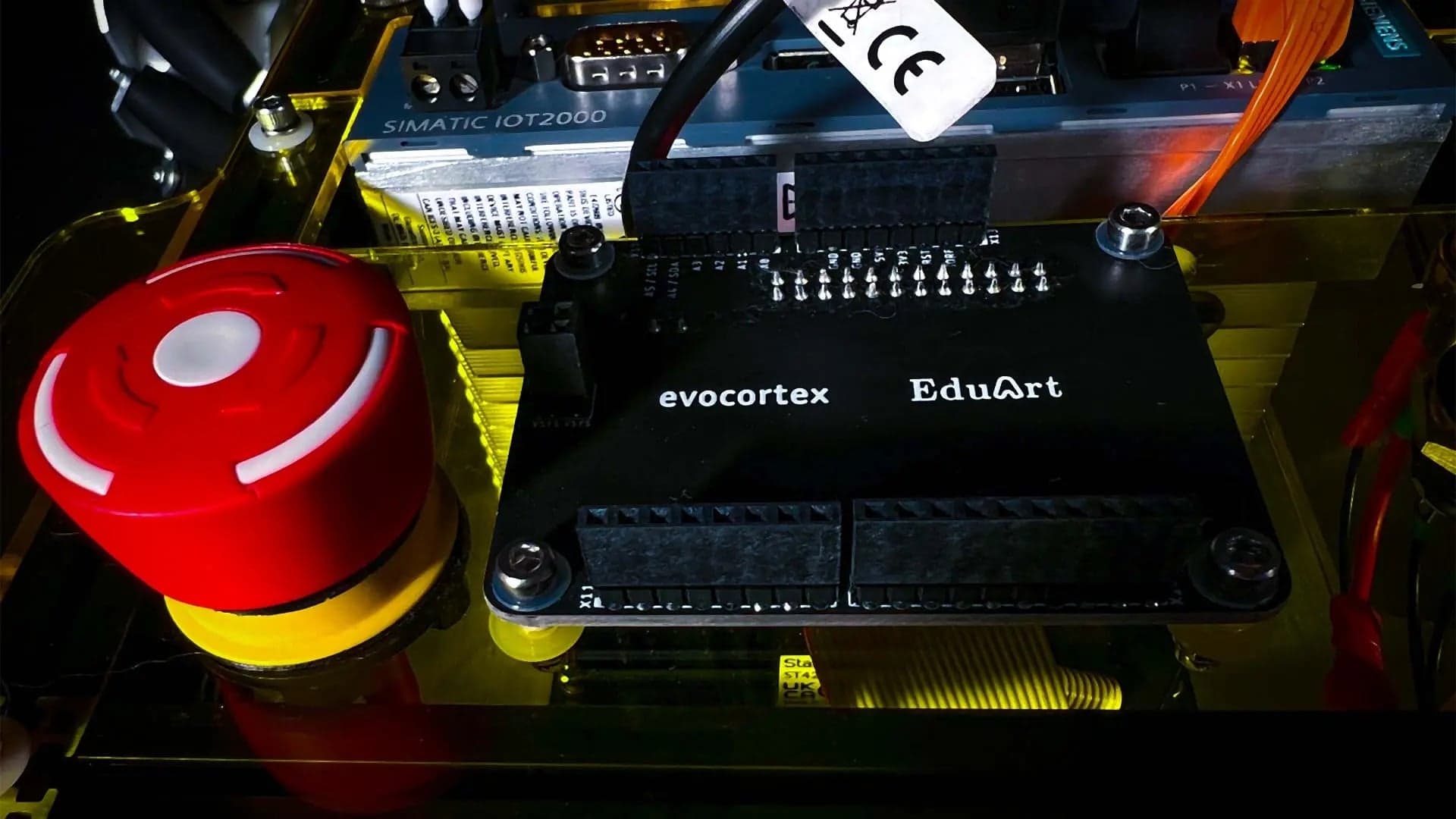 Yellow Mushroom and Plate